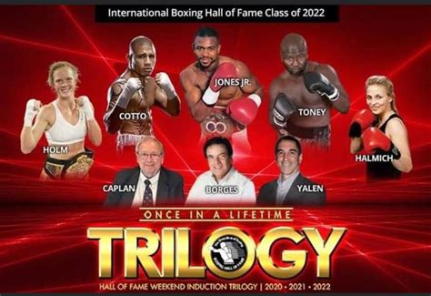 Rise to Fame in Boxing