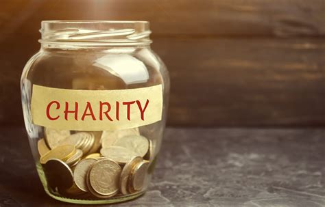 Sherri Vixen's Philanthropy Work and Charitable Contributions