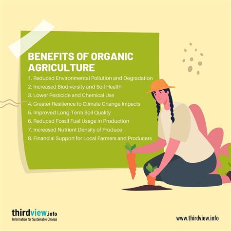 The Advantages of Organic Cultivation in Promoting Ecological Balance