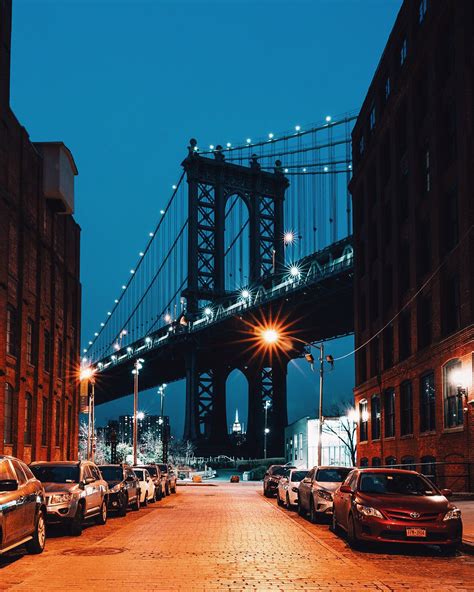 The Complete Profile of Brooklyn Night: Facts and Details