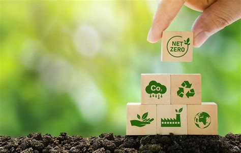 The Environmental Advantages of Eco-Friendly Cultivation