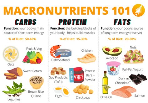 The Essential Role of Macronutrients in Maintaining a Nutritious Diet