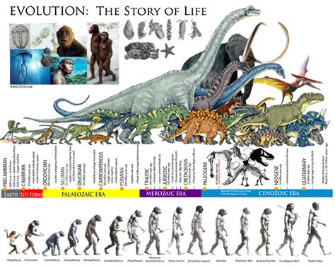 The Evolution of Dinosaur Figures: Adaptations for Survival