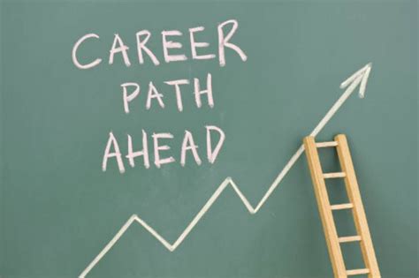 The Future Ahead: Career Prospects and Plans