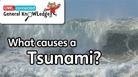 The Impact and Influence of Tsunami Foxxx