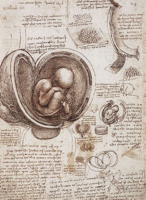 The Insatiable Scientific Inquisitiveness of Leonardo da Vinci