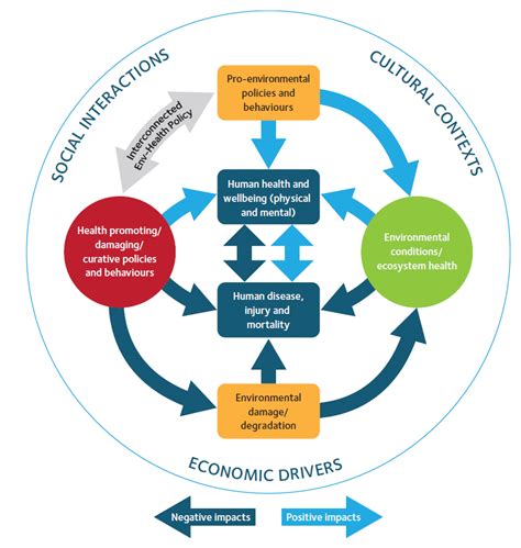 The Interconnection Between Nourishing Consumption and Well-rounded Living