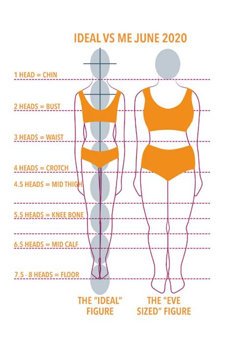 The Perfect Figure: A Closer Look at Eva Red's Body Measurements
