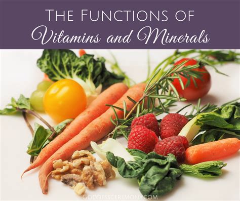 The Significance of Nutrients in Supporting Optimal Body Functioning