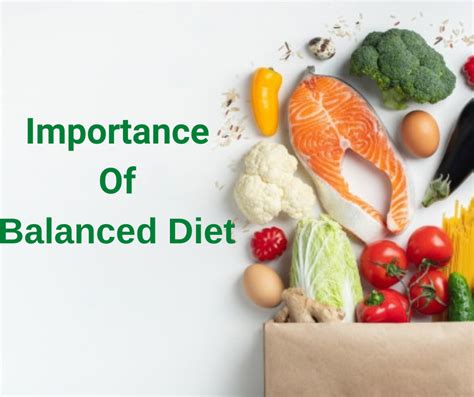 The Significance of Proper Nutrition for Overall Well-Being