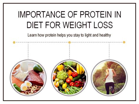 The Significance of Protein in a Weight Reduction Regimen