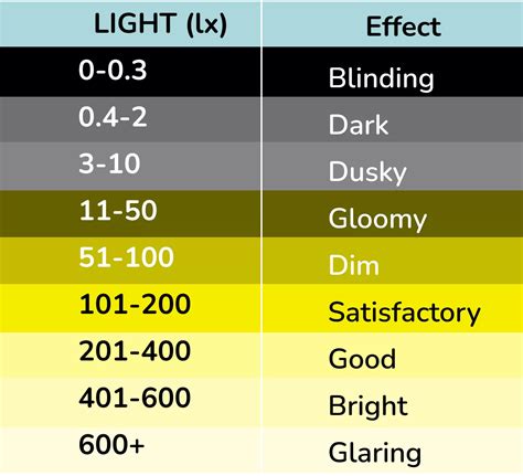 The Value Assessment: How much is Lilly Lux Valued?