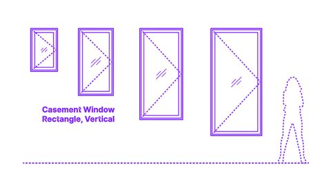 The Vertical Dimension: A Closer Look