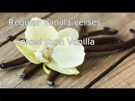 The early years and upbringing of Vanilla Spice