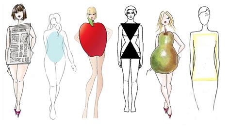 Understanding Body Shape and its Impact on Health