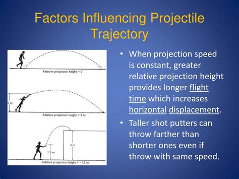 Understanding Height: Factors Influencing Vertical Growth