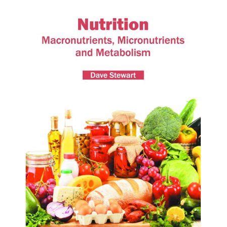 Understanding the Fundamentals of a Well-Balanced Diet: Macronutrients and Micronutrients