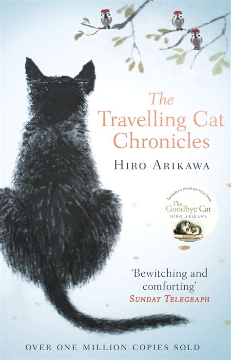 Unveiling Her Age and Milestones: Exploring the Chronicle of Sweet Cat's Journey