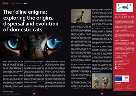 Unveiling the Enigma: The Age and Origins of the Golden Feline