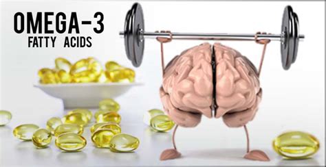 Unveiling the Role of Omega-3 Fatty Acids in Enhancing Brain Performance