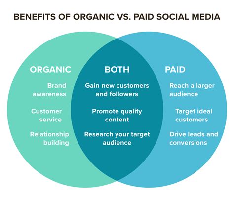 Utilize Social Media to Drive Organic Visitors