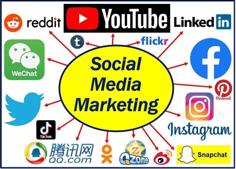 Utilizing Social Media Platforms to Promote Your Online Presence